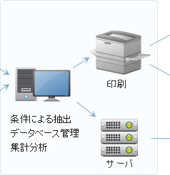 条件による抽出　データベース管理　集計分析